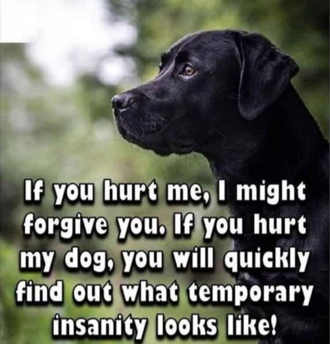 If you hurt me, I might forgive you. If you hurt my dog, you will quickly find out what temporary insanity looks like!