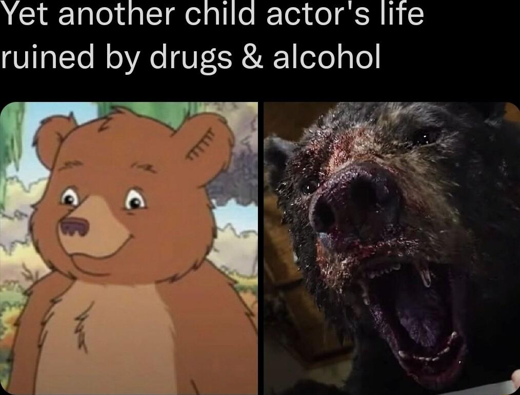 Glslaleldglcigtedalio R Toi ol a R 1N ruined by drugs alcohol