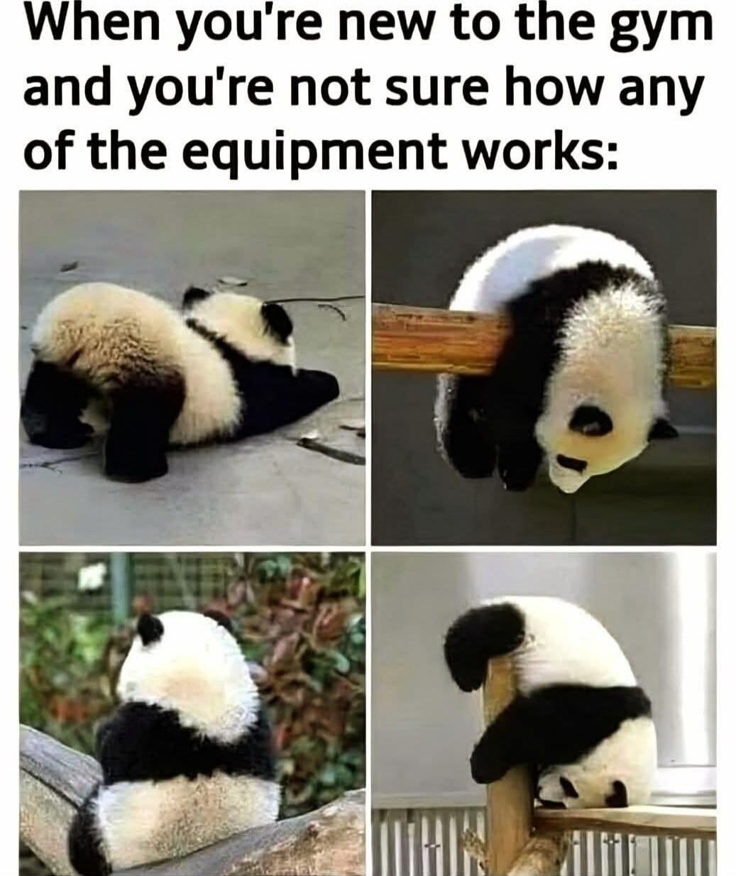 When you're new to the gym and you're not sure how any of the equipment works: