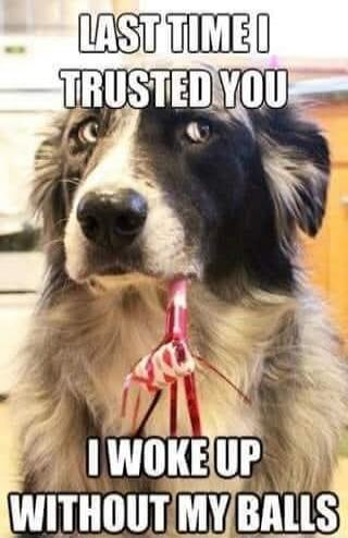 LAST TIME I TRUSTED YOU I WOKE UP WITHOUT MY BALLS