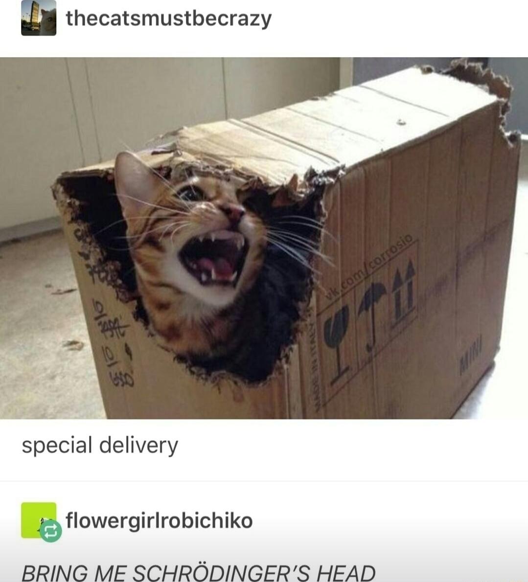 hecatsmustbecrazy special delivery gowergirlmbichiko