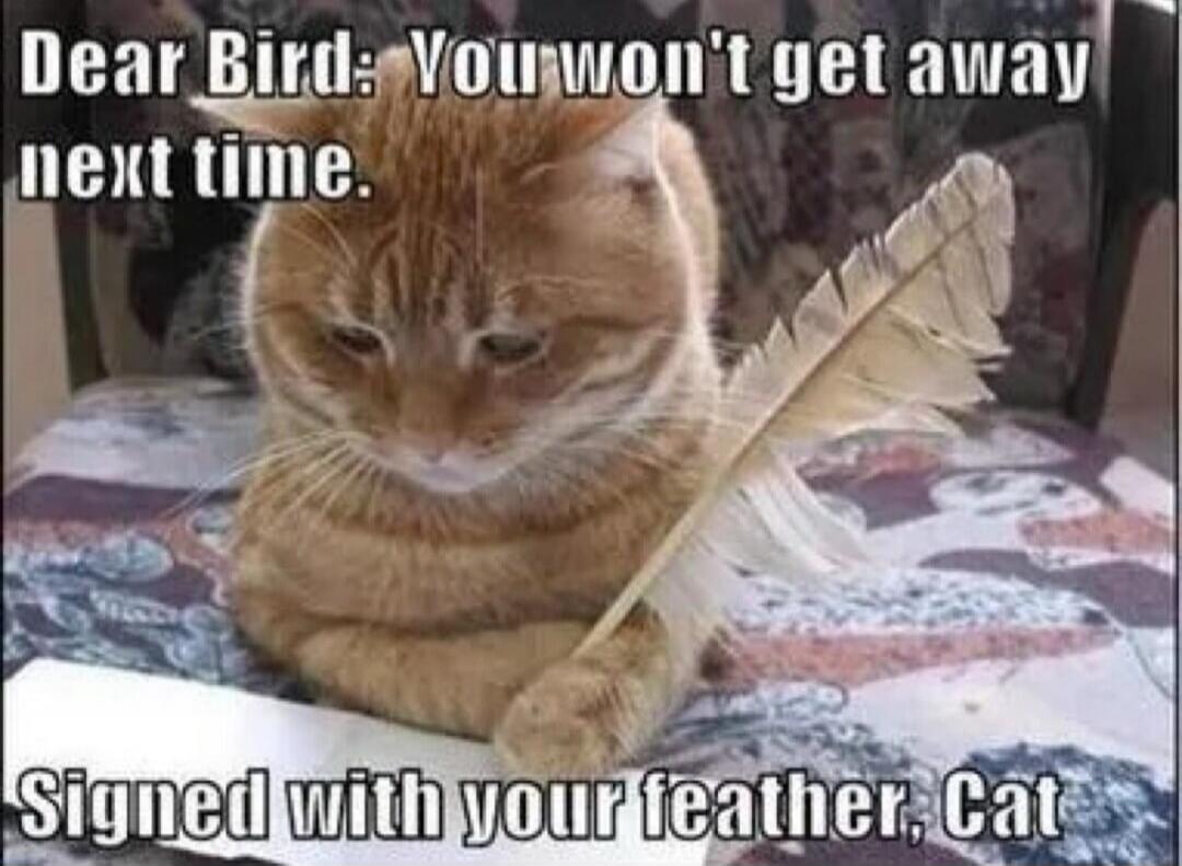 Dear Bird: You won't get away next time. Signed with your feather, Cat