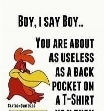 Boy, I say Boy.. YOU ARE ABOUT AS USELESS AS A BACK POCKET ON A T-SHIRT