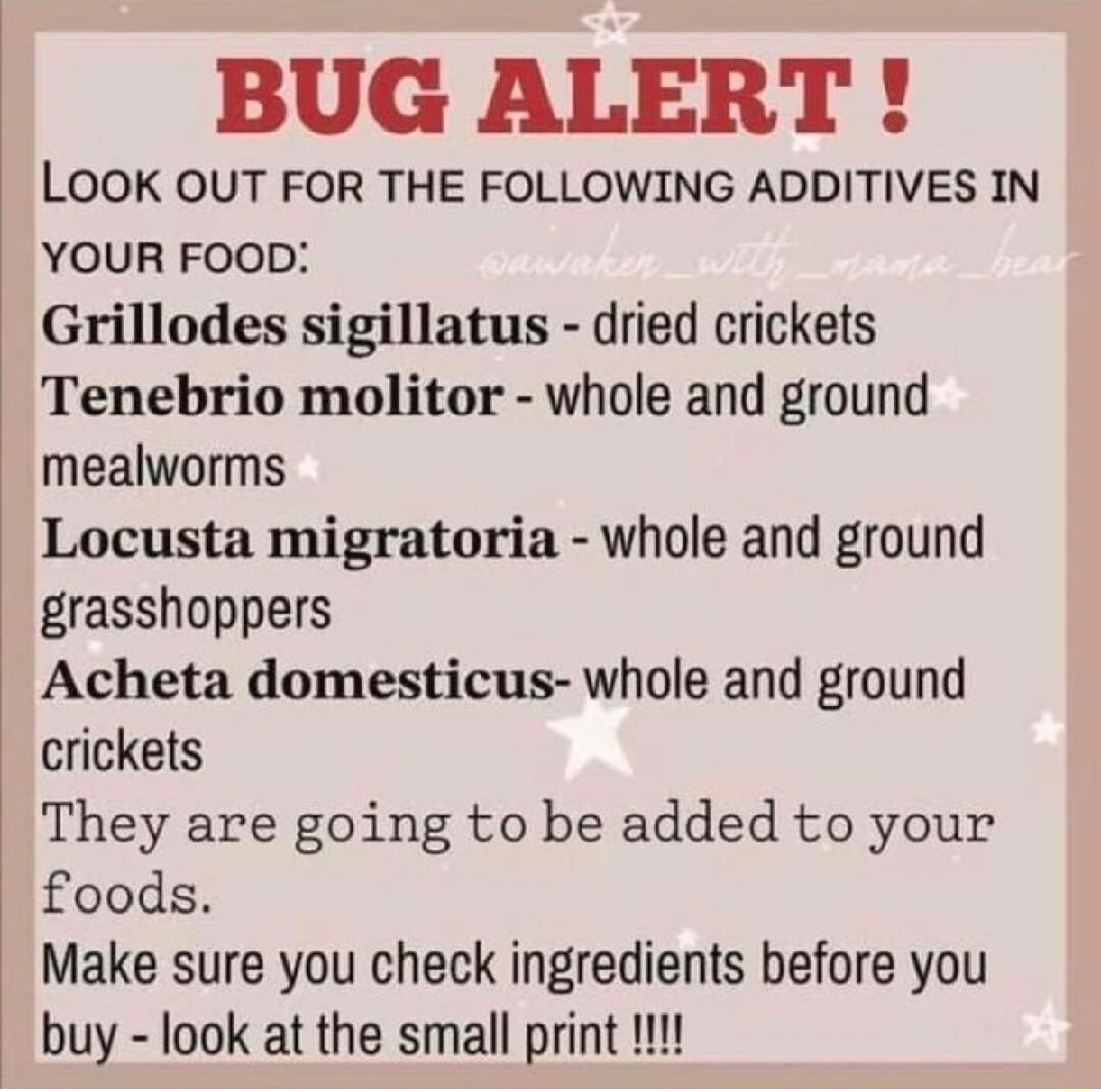 BUG ALERT LOOK OUT FOR THE FOLLOWING ADDITIVES IN YOUR FOOD Grillodes sigillatus dried crickets Tenebrio molitor whole and ground mealworms Locusta migratoria whole and ground grasshoppers Acheta domesticus whole and ground crickets They are going to be added to your foods Make sure you check ingredients before you buy look at the small print