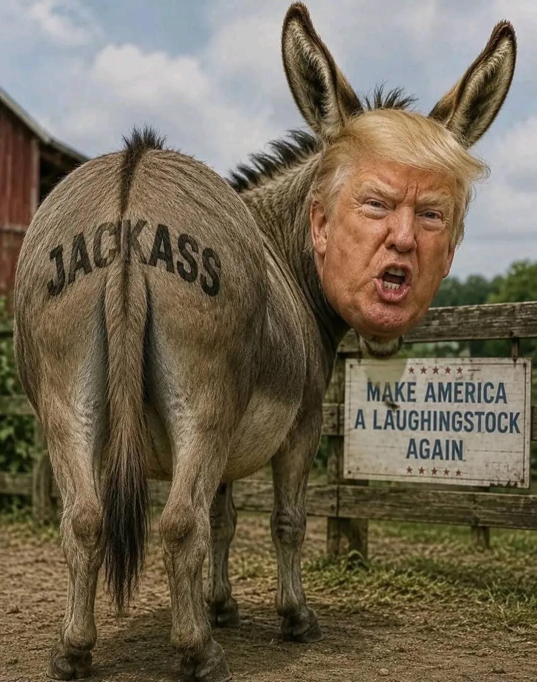 JACKASS
MAKE AMERICA A LAUGHINGSTOCK AGAIN