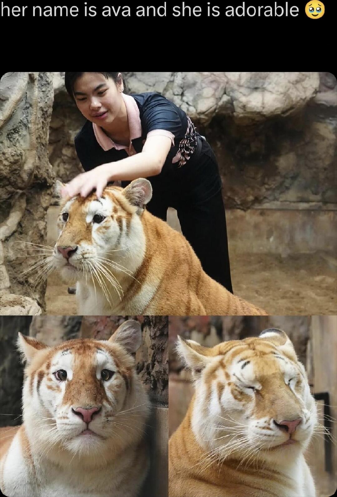 her name is ava and she is adorable 😢