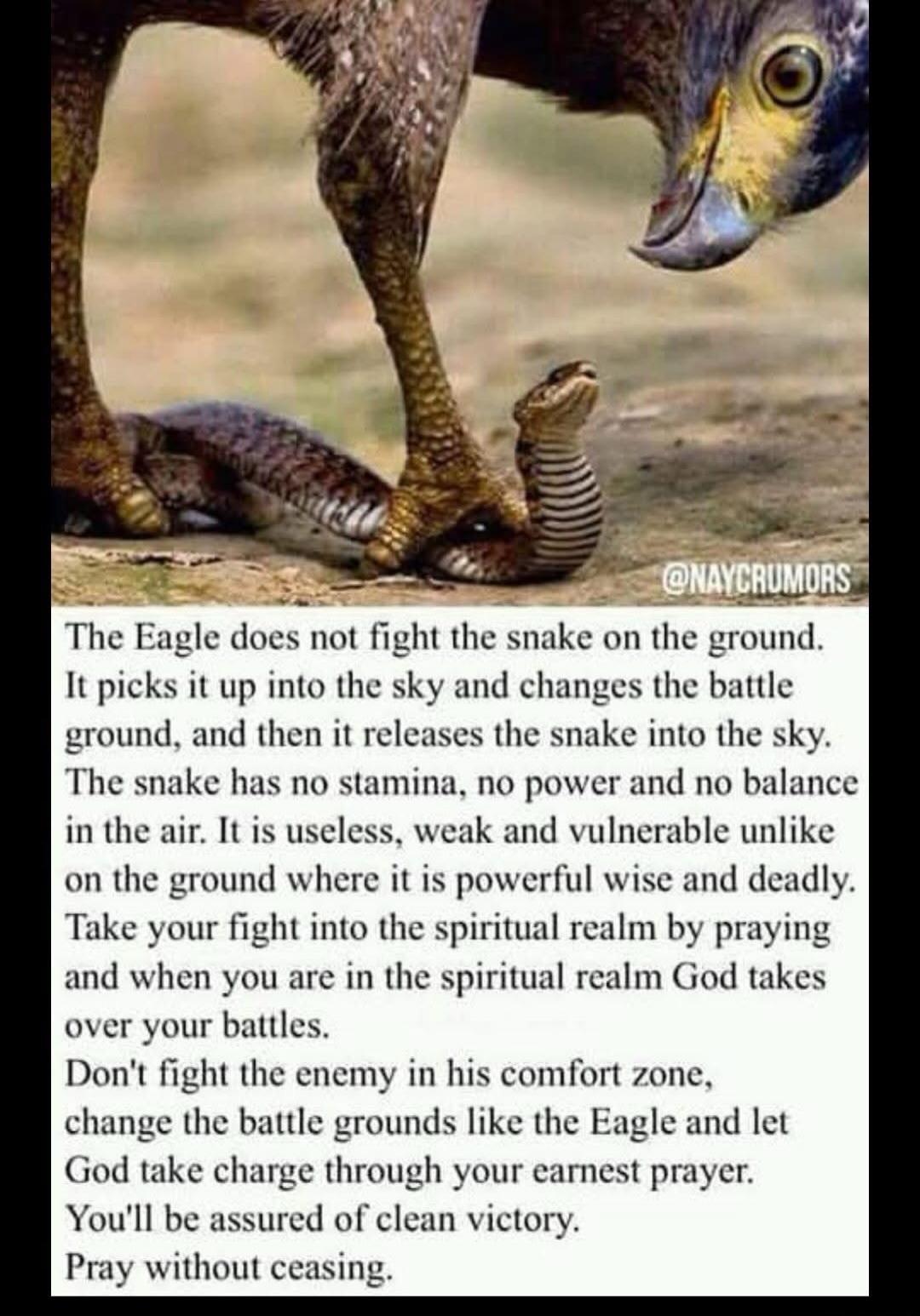 The Eagle does not fight the snake on the ground. It picks it up into the sky and changes the battle ground, and then it releases the snake into the sky. The snake has no stamina, no power and no balance in the air. It is useless, weak and vulnerable unlike on the ground where it is powerful wise and deadly. Take your fight into the spiritual realm