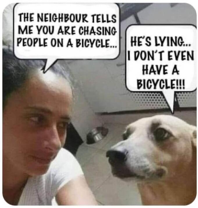 THE NEIGHBOUR TELLS ME YOU ARE CHASING PEOPLE ON A BICYCLE... HE'S LYING... I DON'T EVEN HAVE A BICYCLE!!!