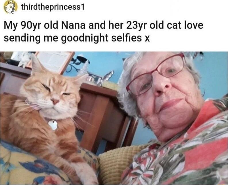 thirdtheprincess1 My 90yr old Nana and her 23yr old cat love sending me goodnight selfies x