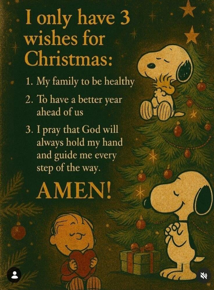 I only have 3 wishes for Christmas:
1. My family to be healthy
2. To have a better year ahead of us
3. I pray that God will always hold my hand and guide me every step of the way.
AMEN!