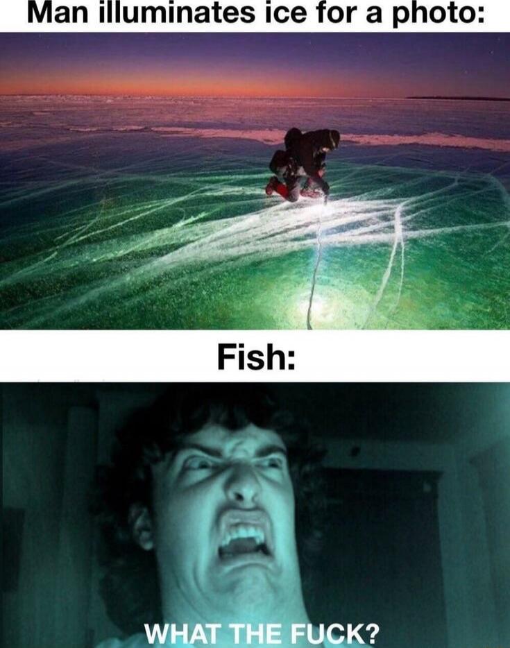 Man illuminates ice for a photo:
Fish:
WHAT THE FUCK?
