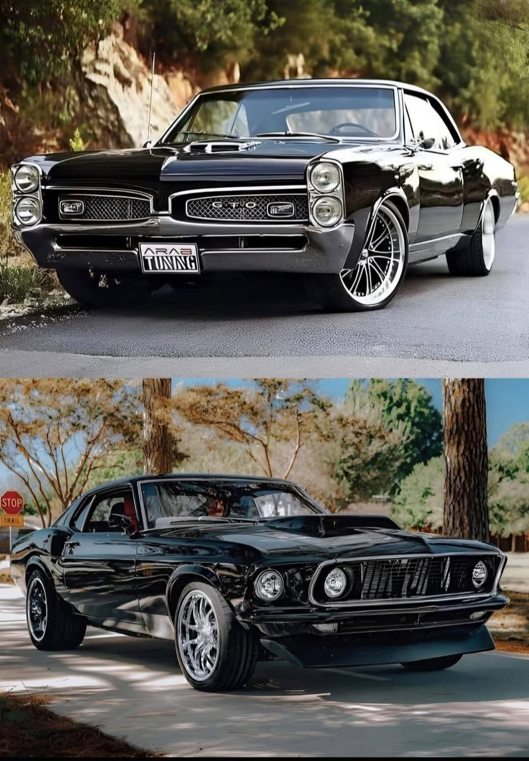 ARAB TUNING GTO STOP TRAIL