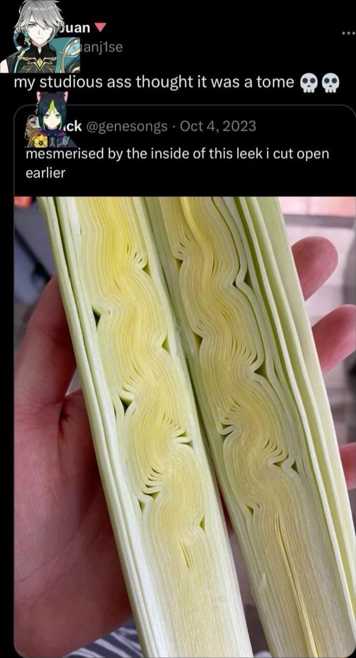 mesmerised by the inside of this leek i cut open earlier