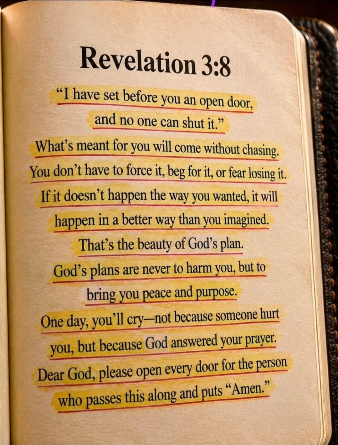 Revelation 3:8 