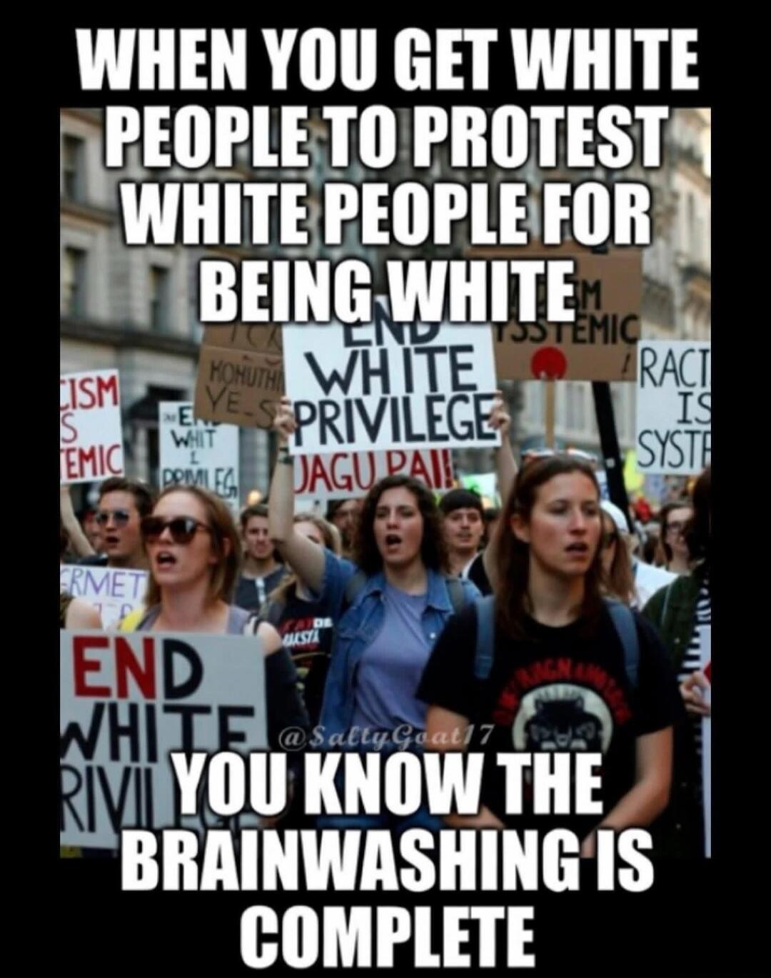 WHEN YOU GET WHITE PEOPLE TO PROTEST WHITE PEOPLE FOR BEING WHITE YOU KNOW THE BRAINWASHING IS COMPLETE. Signs visible: END WHITE PRIVILEGE, RACISM IS SYSTEMIC.