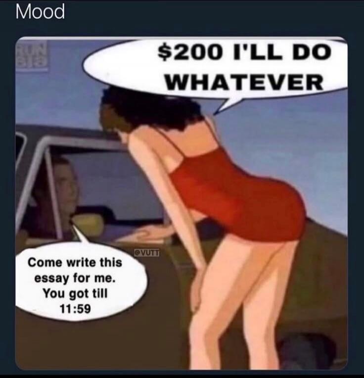 $200 I'LL DO WHATEVER
Come write this essay for me. You got till 11:59