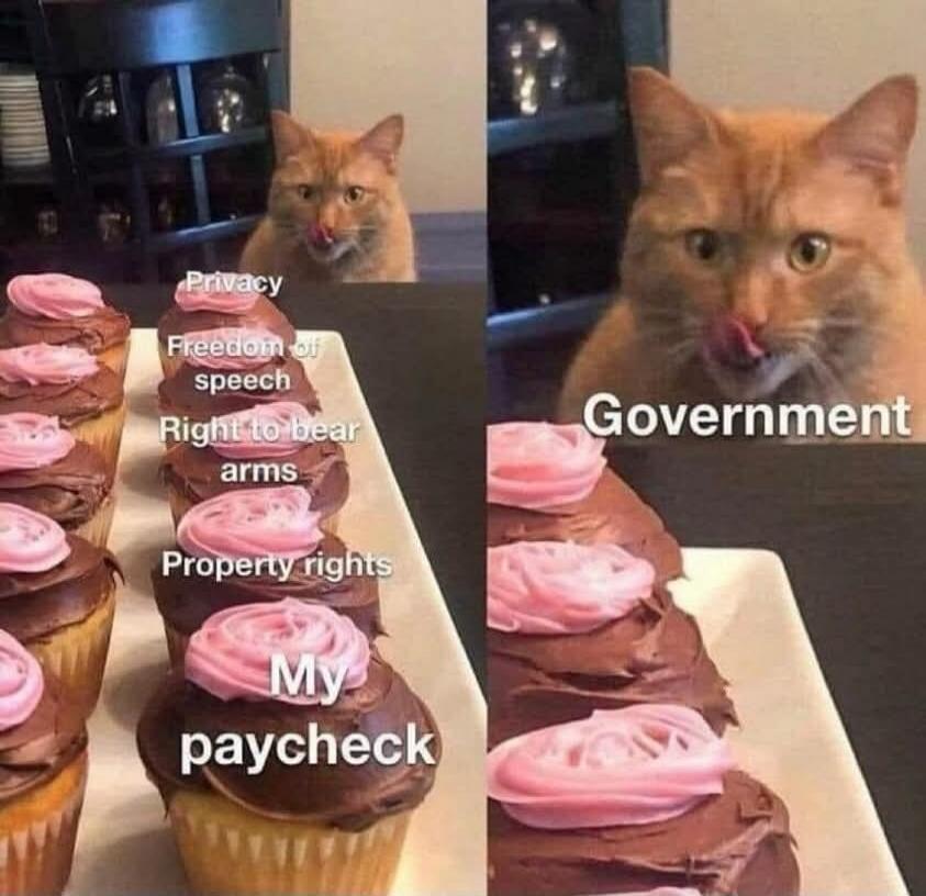 Privacy Freedom of speech Right to bear arms Property rights My paycheck Government