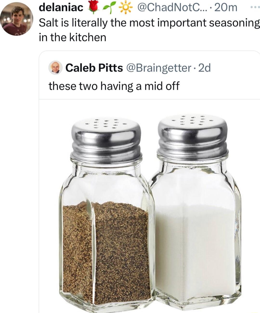 delaniac 4 ChadNotC 20m Salt is literally the most important seasoning in the kitchen 4 Caleb Pitts Braingetter 2d these two having a mid off
