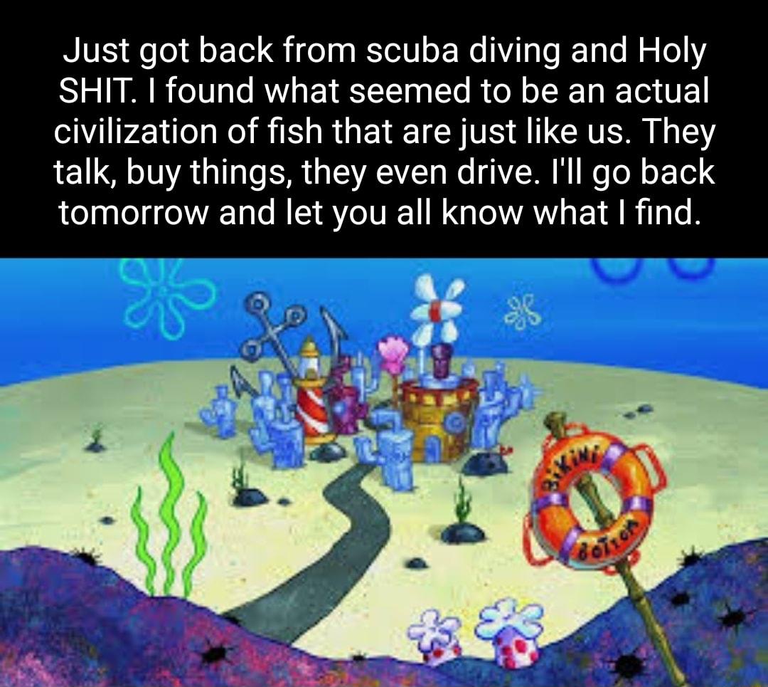Just got back from scuba diving and Holy SHIT found what seemed to be an actual civilization of fish that are just like us They talk buy things they even drive Ill go back tomorrow and let you all know what find