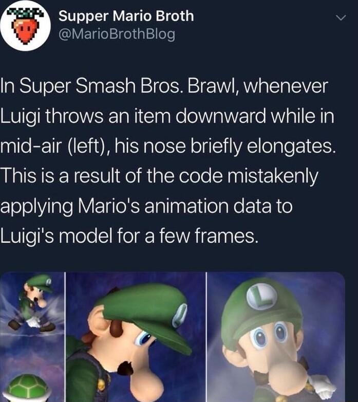 ETT T A VET TR 10 v MarioBrothBlog In Super Smash Bros Brawl whenever Luigi throws an item downward while in mid air left his nose briefly elongates ISISENCS Vg R Yo LY RIS ELERY applying Marios animation data to Luigis model for a few frames