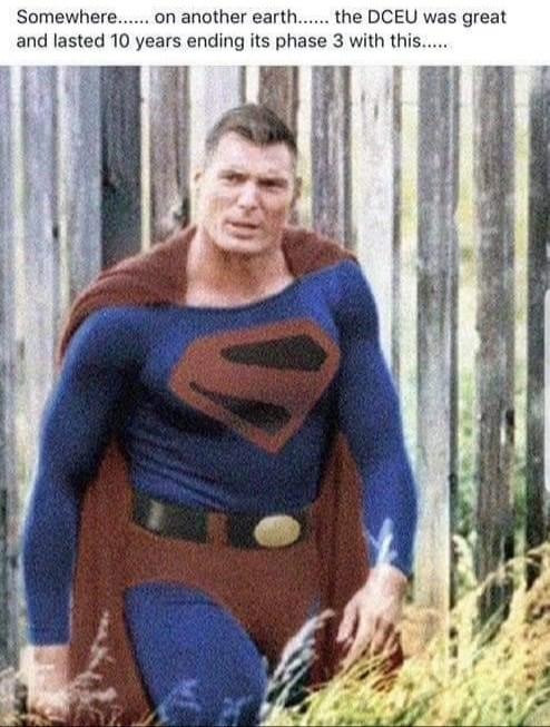 Somewhere on another earth the DCEU was great and lasted 10 years ending its phase 3 with this