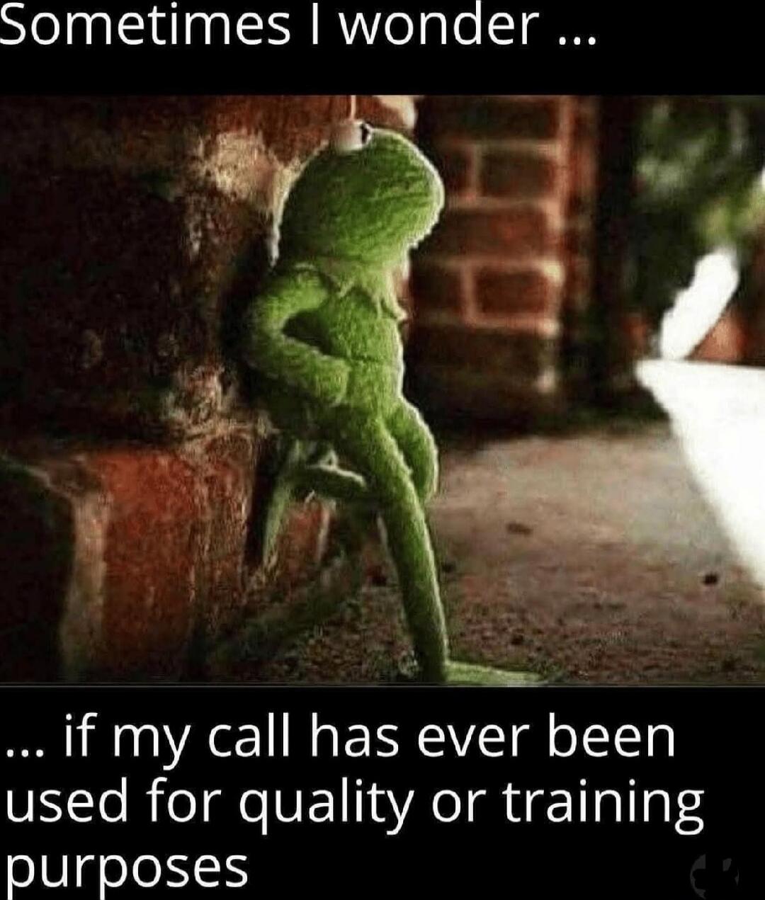 Sometimes I wonder ...

... if my call has ever been used for quality or training purposes