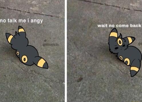 Y i no talk me i angy wait no come back LN 4 0 0 n