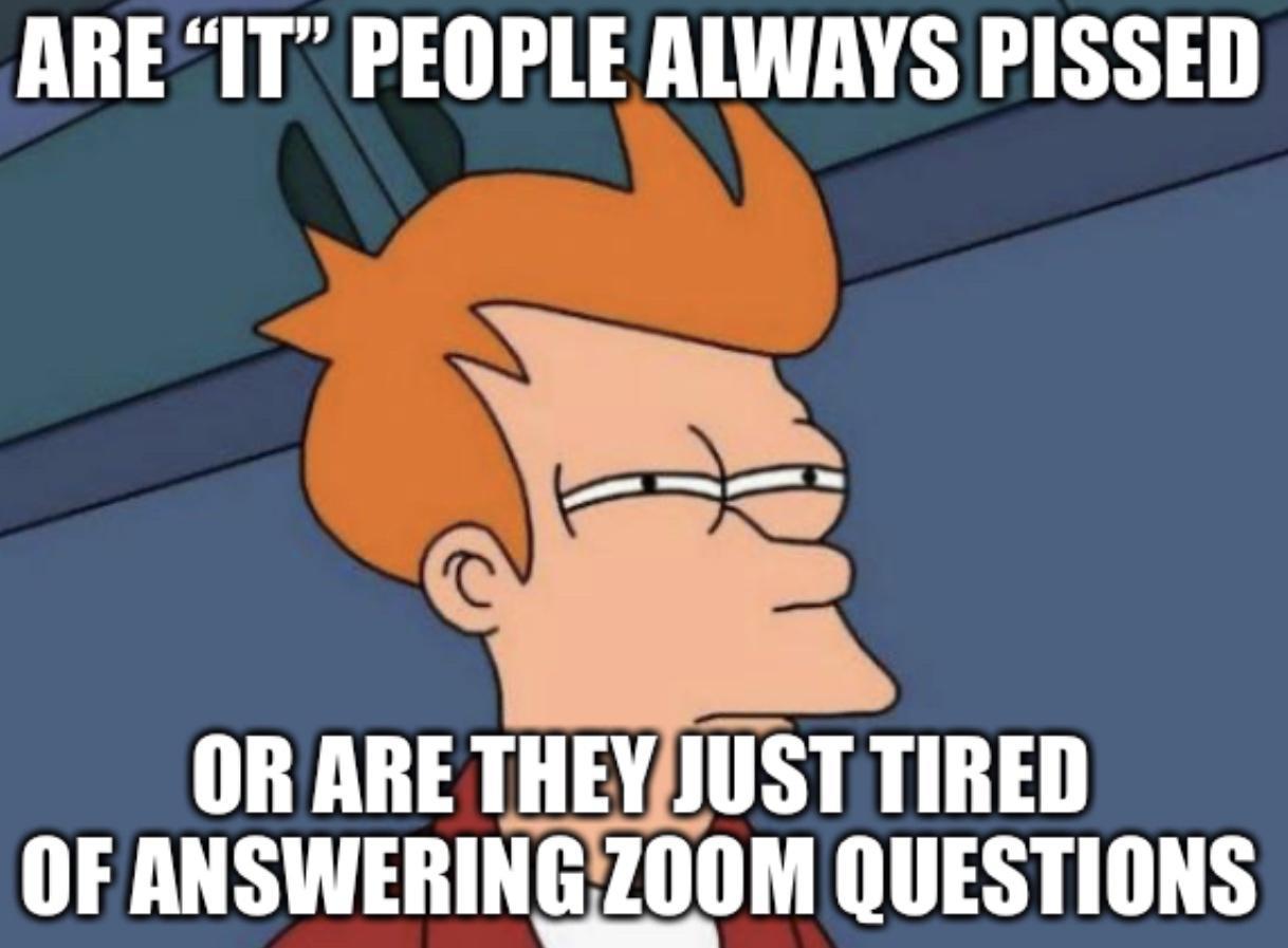 ARE IT PEOPLE ALWAYS PISSED OR ARE THEYIUSTTIRED OF ANSWERINGZOOM QUESTIONS