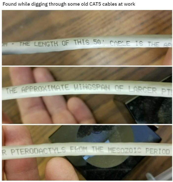 Found while digging through some old CAT5 cables at work