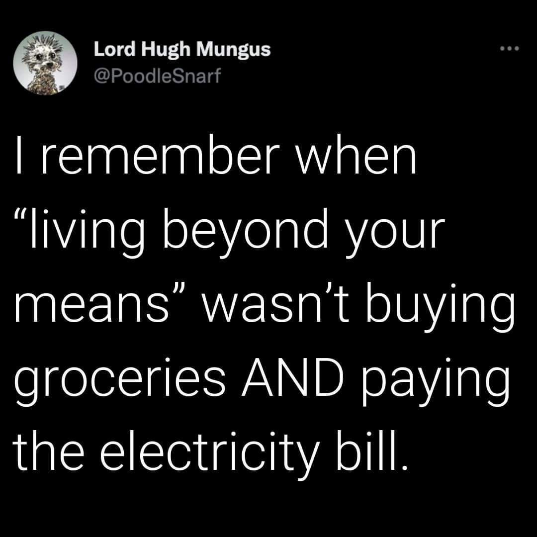 Lord Hugh Mungus PoodleSnar remember when BIYlgleNelegle ReVg means wasnt buying groceries AND paying the electricity bill
