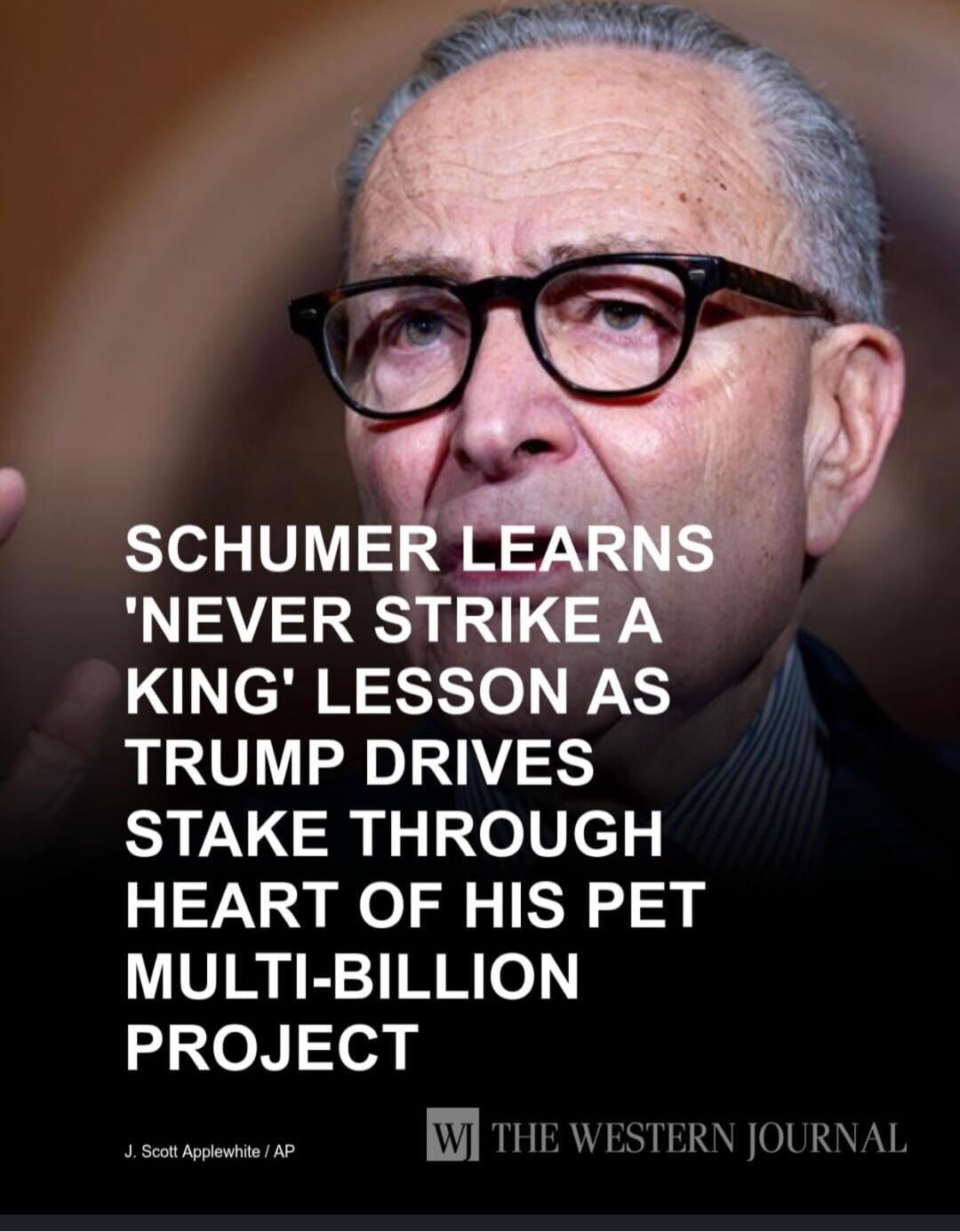 SCHUMER LEARNS 'NEVER STRIKE A KING' LESSON AS TRUMP DRIVES STAKE THROUGH HEART OF HIS PET MULTI-BILLION PROJECT