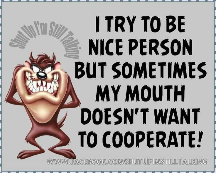 I TRY TO BE NICE PERSON BUT SOMETIMES MY MOUTH DOESN'T WANT TO COOPERATE! Shut Up I'm Still Talking