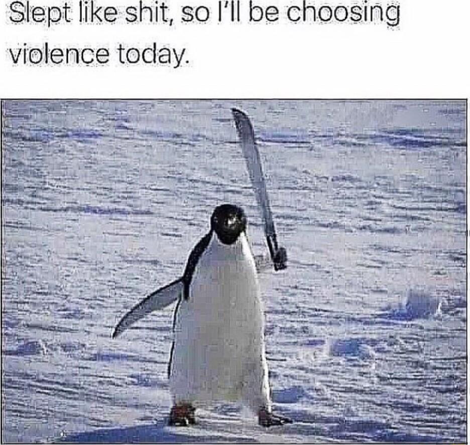 Slept like shit so Ill be choosing violence today
