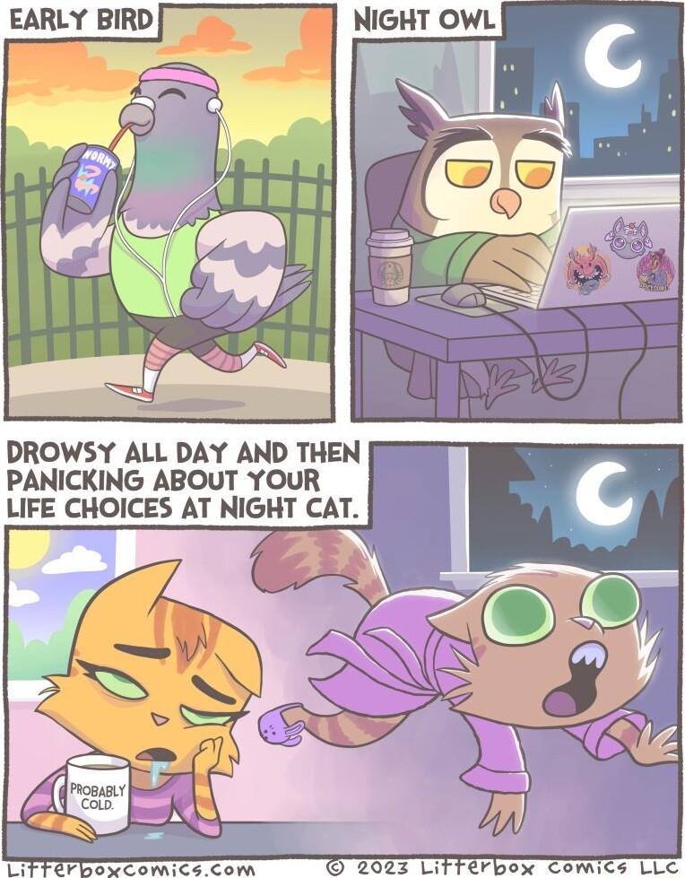 EARLY BIRD DROWSY ALL DAY AND THEN PANICKING ABOUT YOUR LIFE CHOICES AT NIGHT CAT