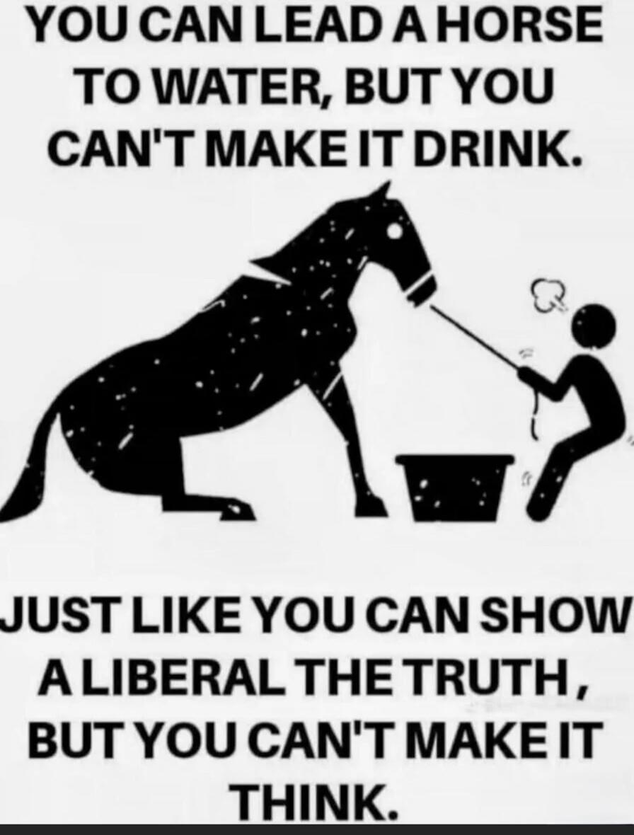 YOU CAN LEAD A HORSE TO WATER, BUT YOU CAN'T MAKE IT DRINK. JUST LIKE YOU CAN SHOW A LIBERAL THE TRUTH, BUT YOU CAN'T MAKE IT THINK.