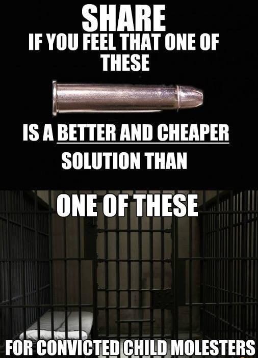 IF YOU FEEL THAT ONE OF THESE on s IS A BETTER AND CHEAPER SOLUTION THAN ONE OF THESE aliH FOR CONVICTEDCHILD MOLESTERS