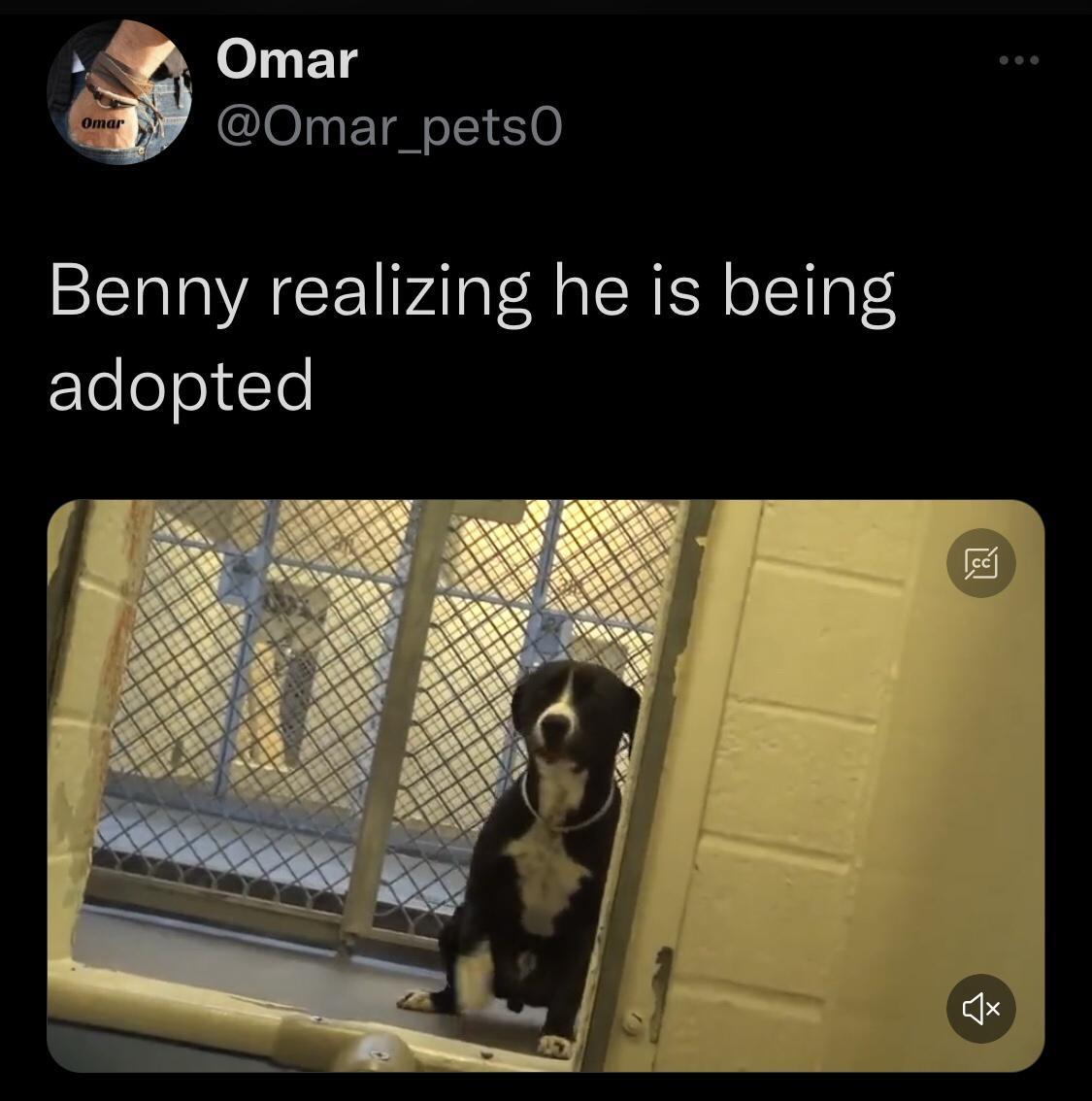 v eET4 Omar_petsO Benny realizing he is being adopted