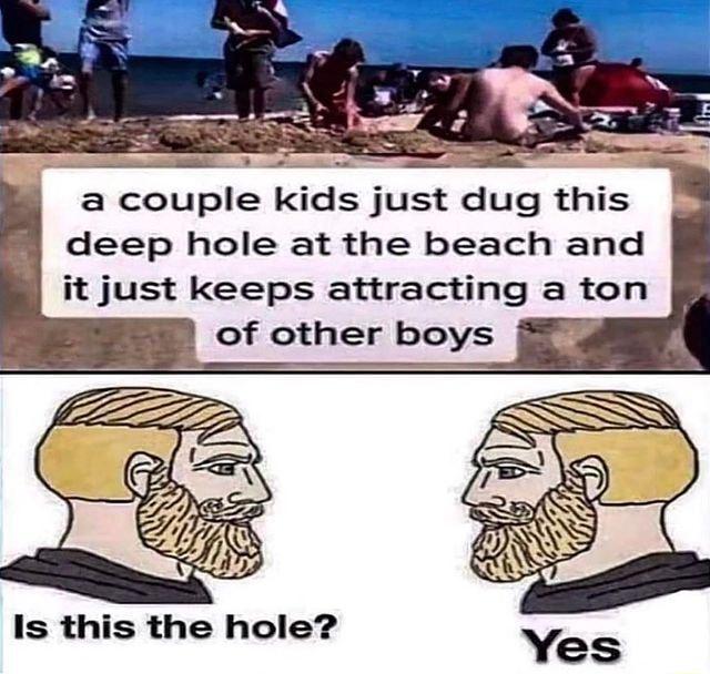 a couple kids just dug this deep hole at the beach and it just keeps attracting a ton Is this the hole
