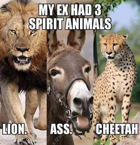 MY EX HAD 3 SPIRIT ANIMALS. LION. ASS. CHEETAH.