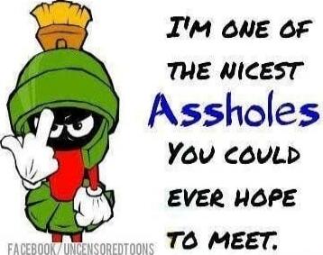 I'm one of the nicest assholes you could ever hope to meet.