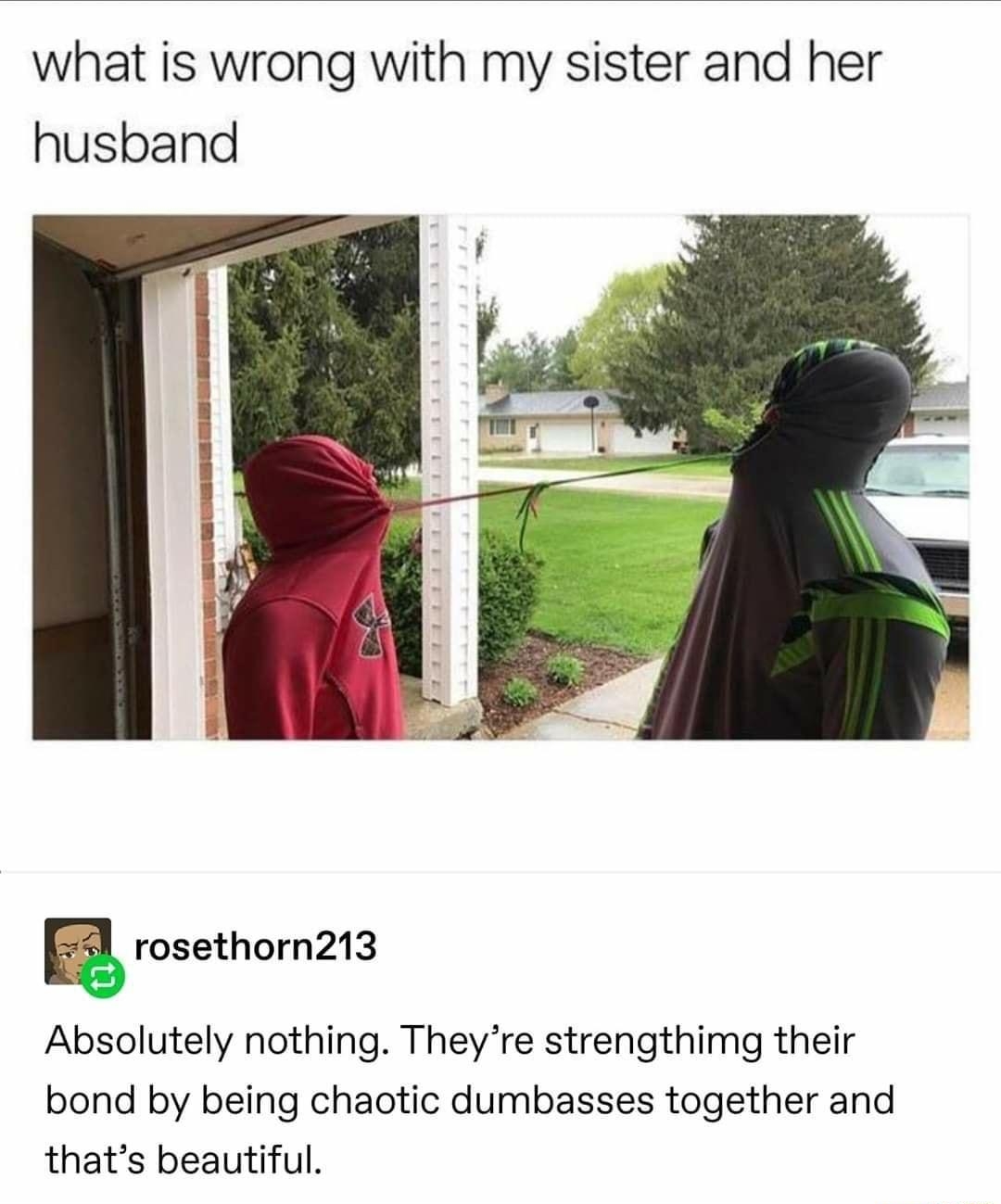 what is wrong with my sister and her husband rosethorn213 Absolutely nothing Theyre strengthimg their bond by being chaotic dumbasses together and thats beautiful