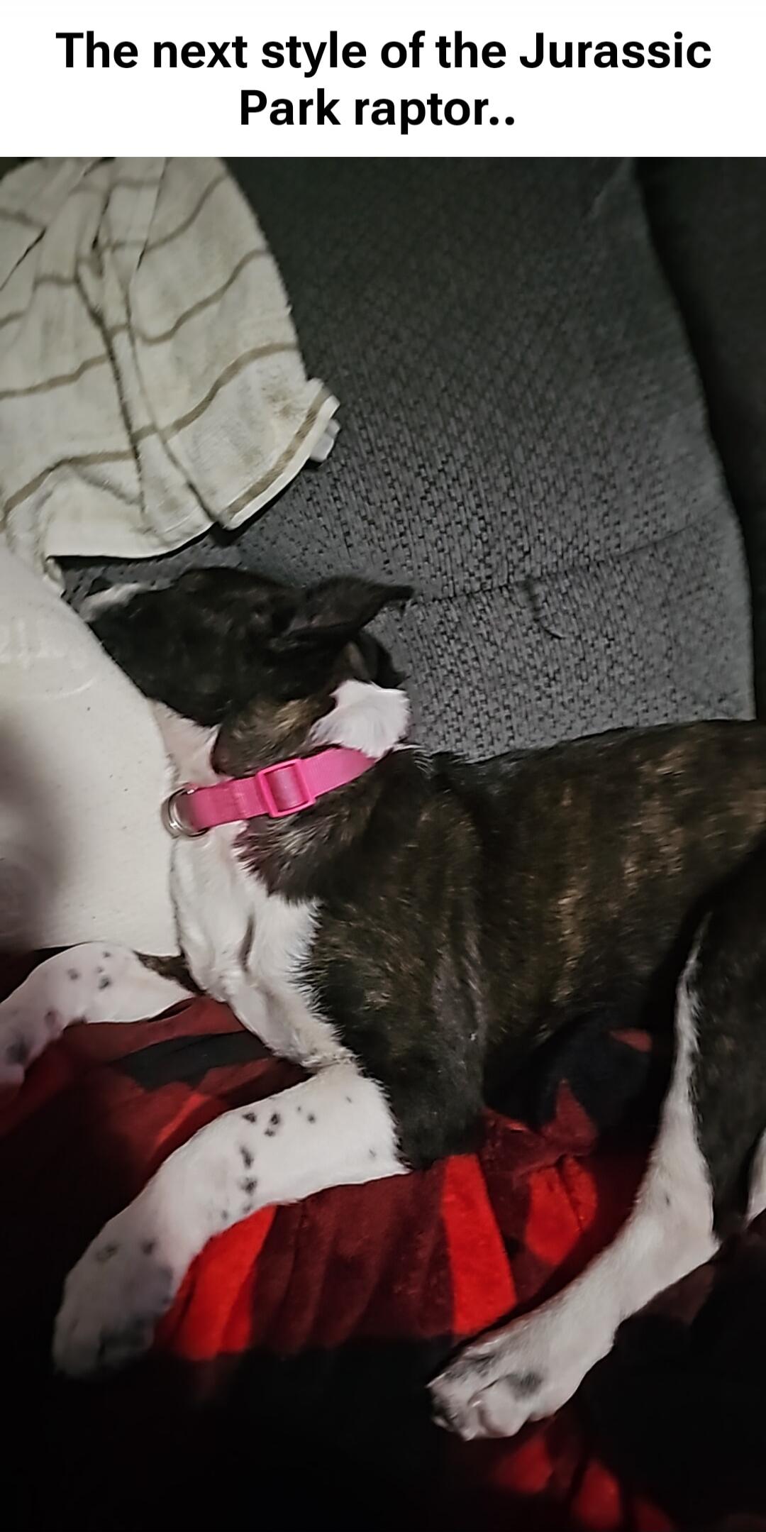 The next style of the Jurassic Park raptor..