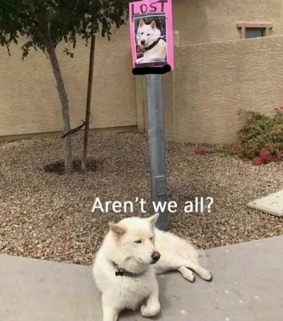LOST. Aren't we all?