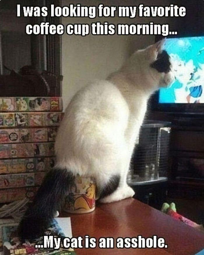 I was looking for my favorite coffeecupjthis morning