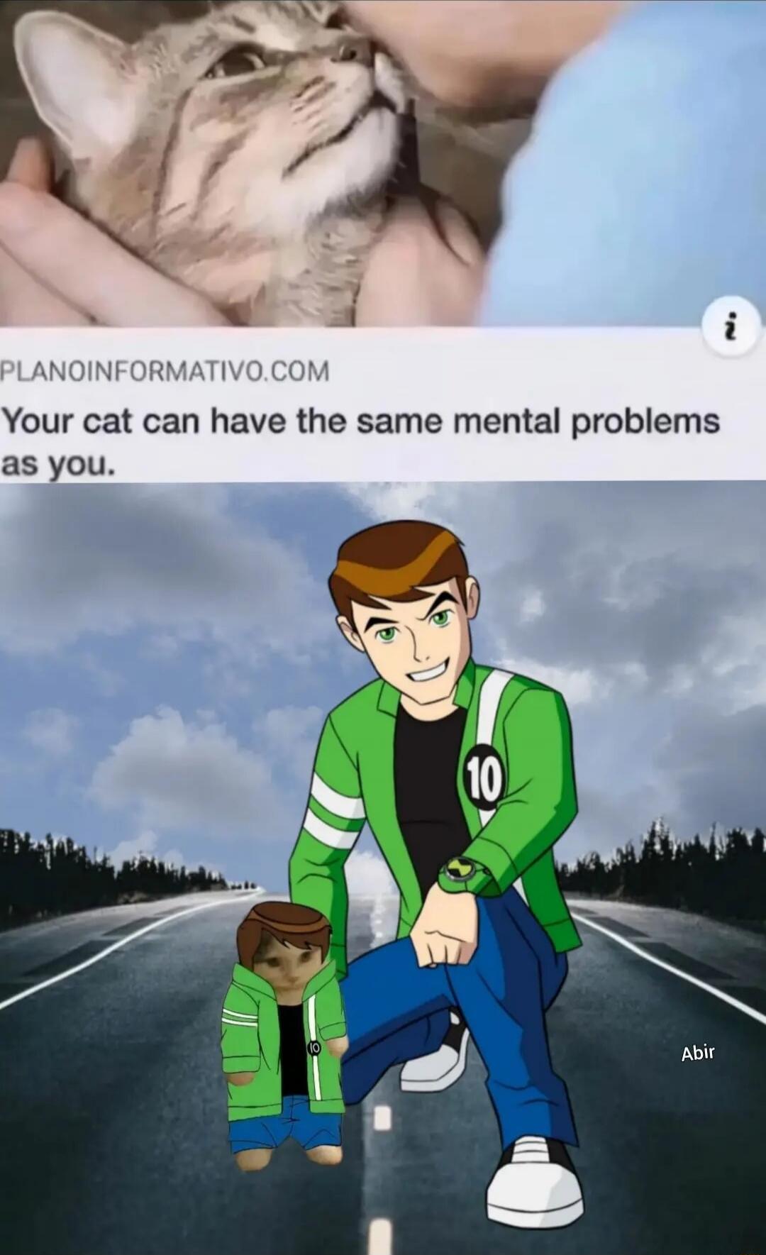 Your cat can have the same mental problems as you.