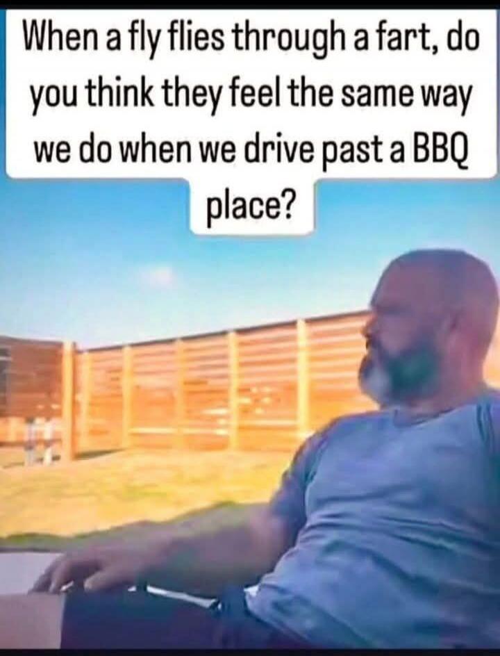 When a fly flies through a fart, do you think they feel the same way we do when we drive past a BBQ place?