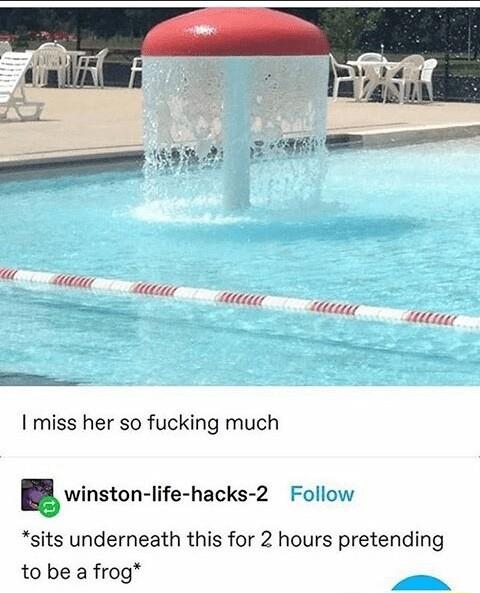 w dd etz 74 2 e Z Letiar e I miss her so fucking much winston lifehacks z Follow sits underneath this for 2 hours pretending to be a frog