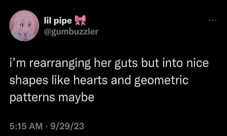 lil pipe f gumbuzzler im rearranging her guts but into nice shapes like hearts and geometric patterns maybe EREPARETRLTPE