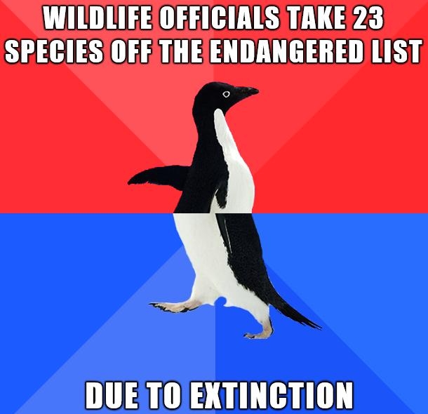 WILDLIFE OFFICIALS TAKE 23 SPECIESIOFETHEIENDANGEREDLIST DUETO EXTINCTION