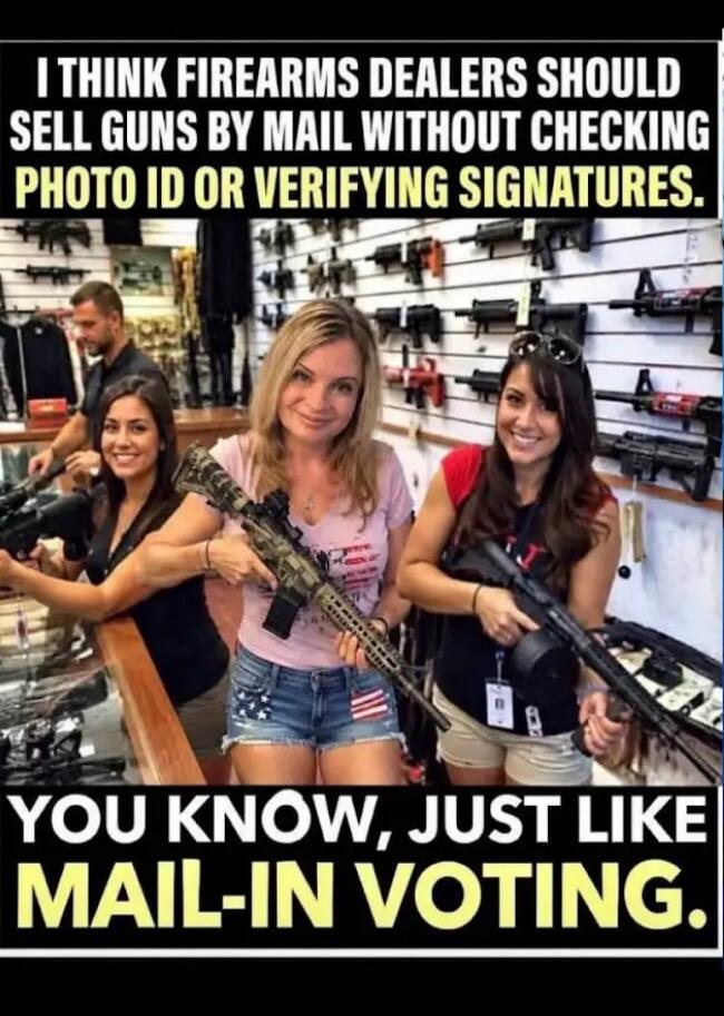 I THINK FIREARMS DEALERS SHOULD SELL GUNS BY MAIL WITHOUT CHECKING PHOTO ID OR VERIFYING SIGNATURES. YOU KNOW, JUST LIKE MAIL-IN VOTING.
